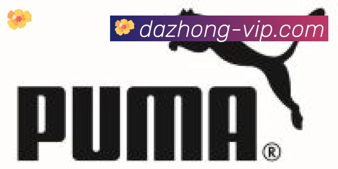 大众彩票官网合作伙伴